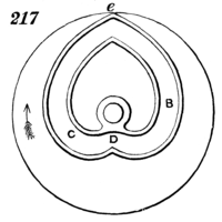 217 and 218